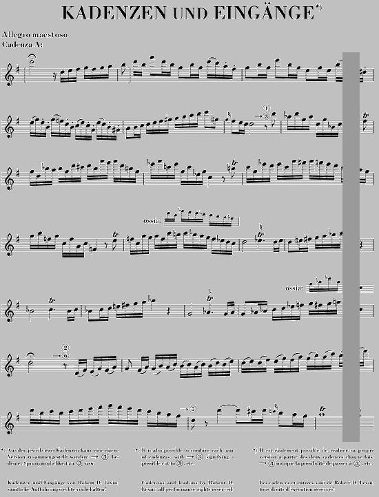 Mozart W.a. - Concerto For Flute And Orchestra G Major KV 313