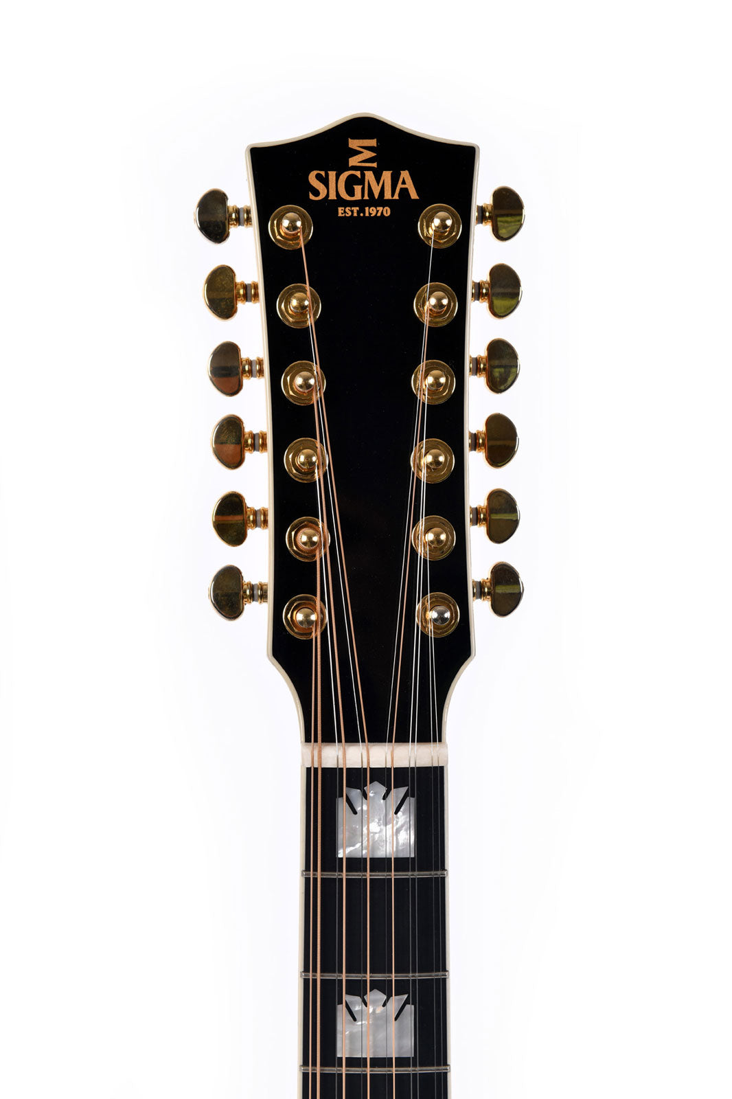 Serie Sg Gja12-Sg200 12 Strings