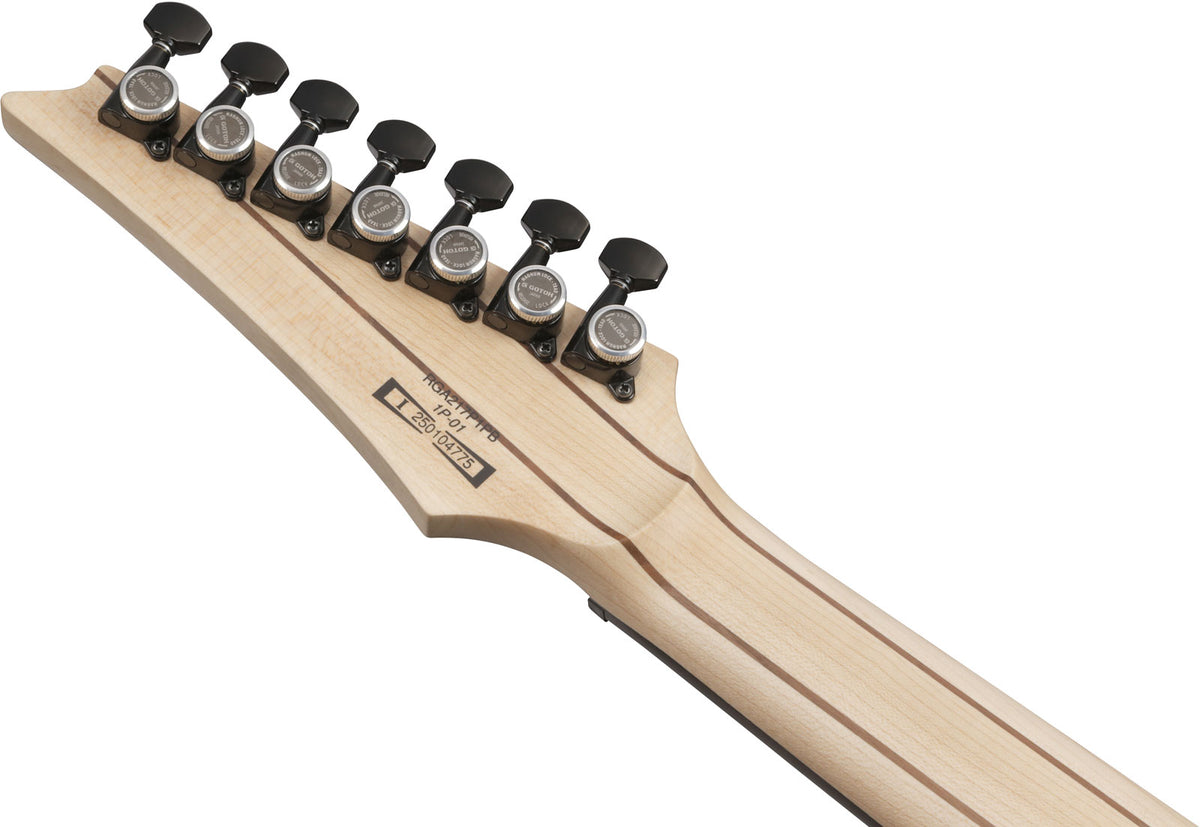 RGA217P1PBDRL Crepuscolo profondo Burst Bassa lucentezza Premium