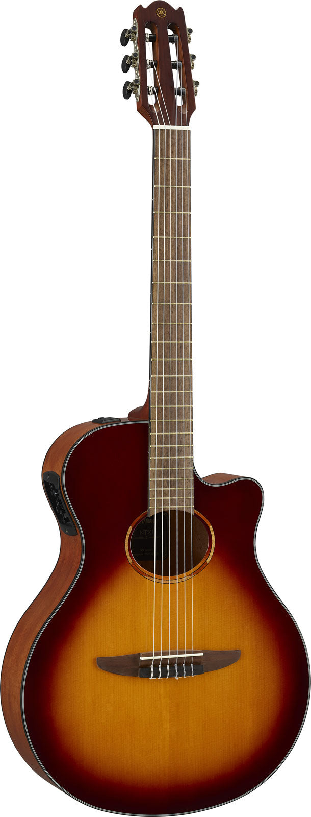 Ntx1 Sunburst marrone