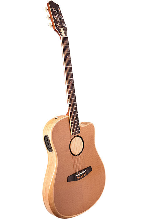 Aeg-1 Torrefatto