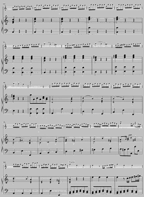 Vivaldi A. - Concerto per flautino (flauto dolce/flauto) e orchestra in Do maggiore Op. 44 11 Rv 443