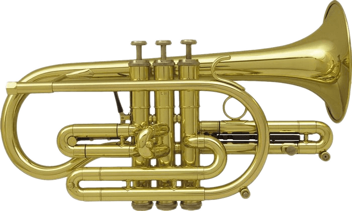 Getzen ETERNA 800 CLEAR LACQUER