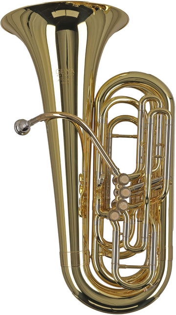 Ambition BB501C Contrabbasso Do Verniciato