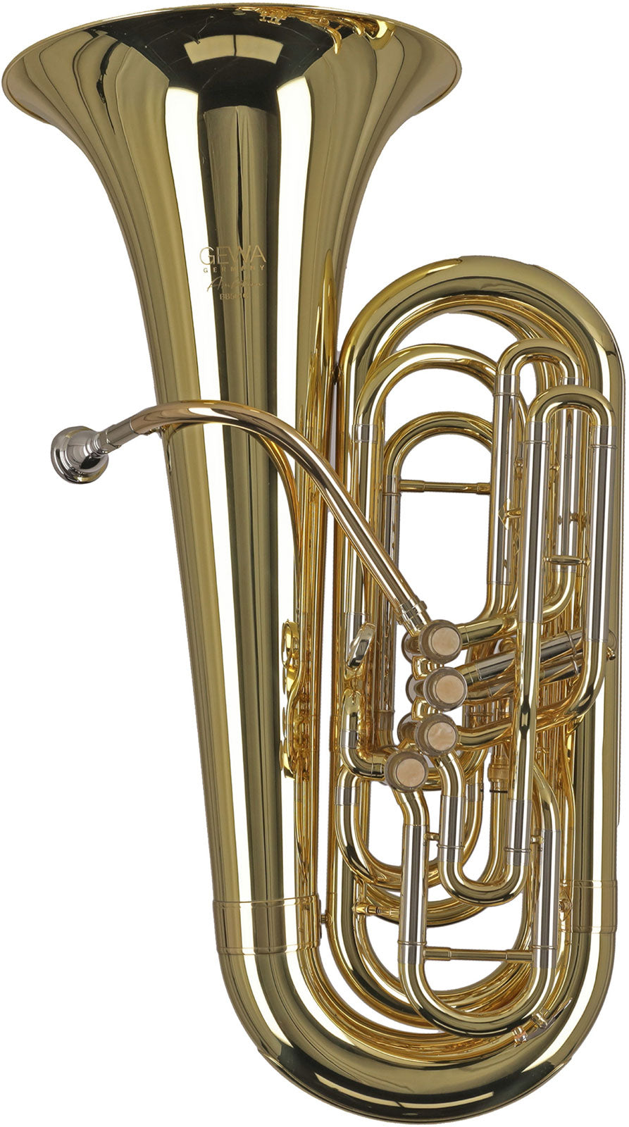 Ambition BB501C Contrabbasso Do Verniciato