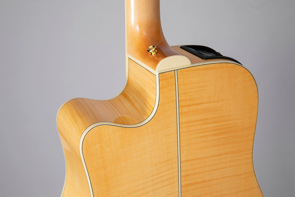 GD74CE-12 Dreadnought Corde Naturale