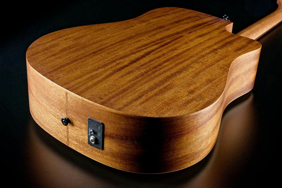 HyVibe 2 Serie 10 Dreadnought Mancino CW