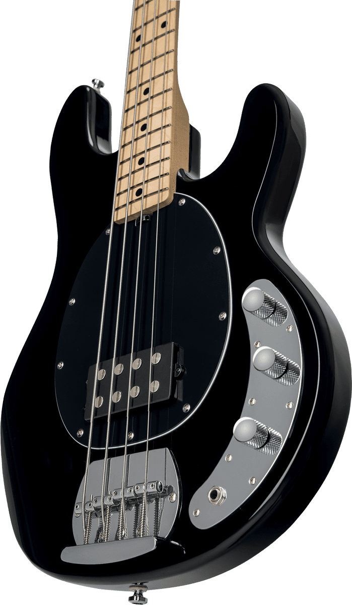 Stingray In Black