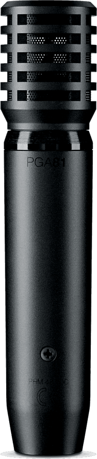 PGA81