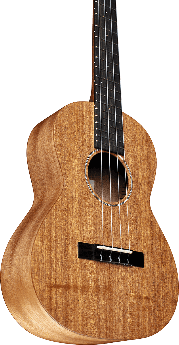 Ukulele T1