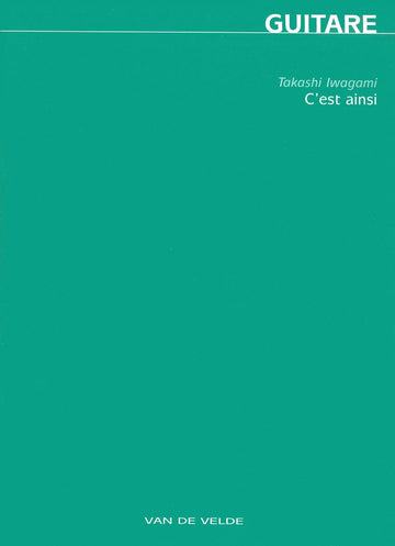 Iwagami Takashi - È così - Chitarra