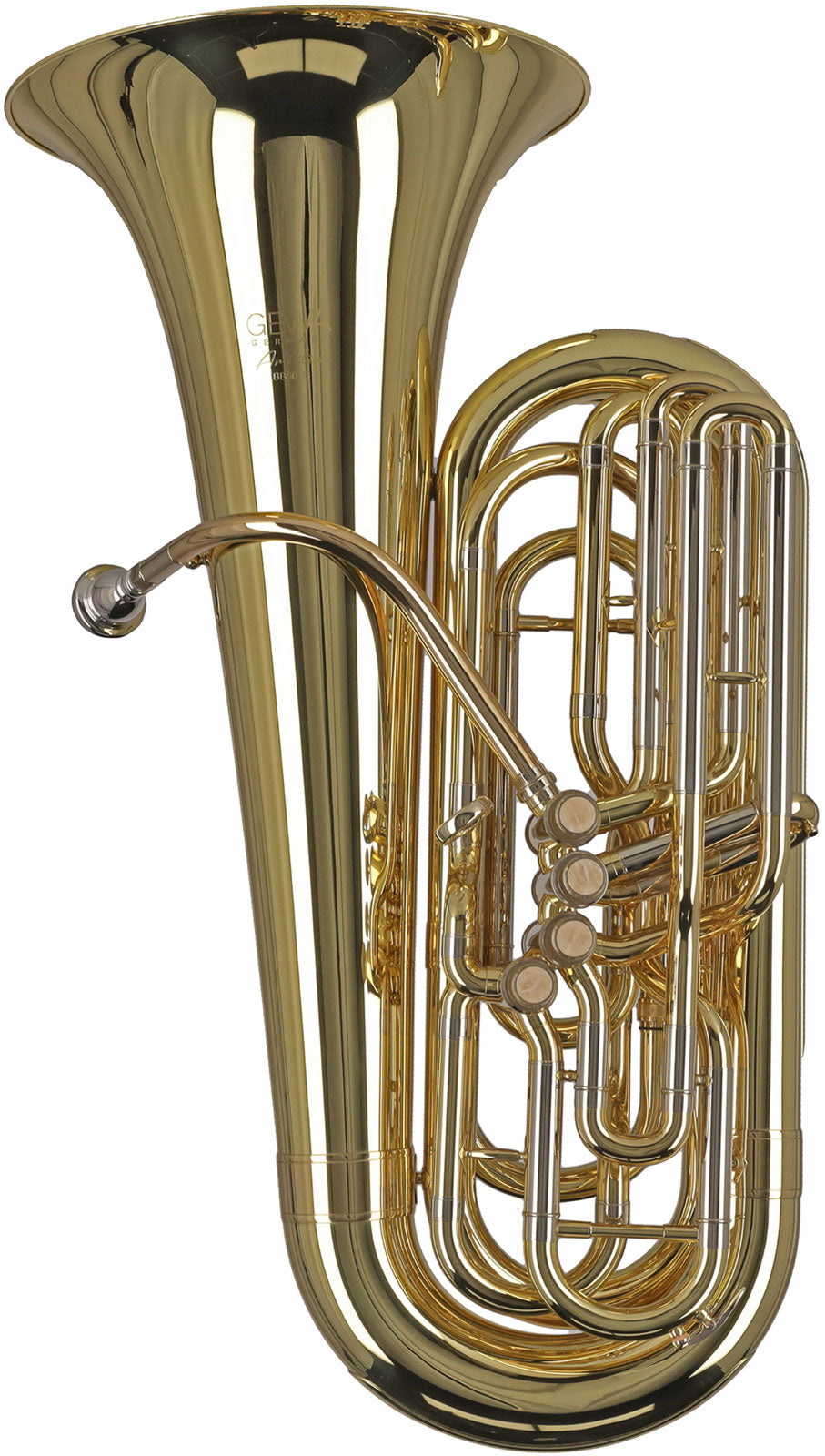 Ambition BB501B Contrabbasso Sib Verniciato