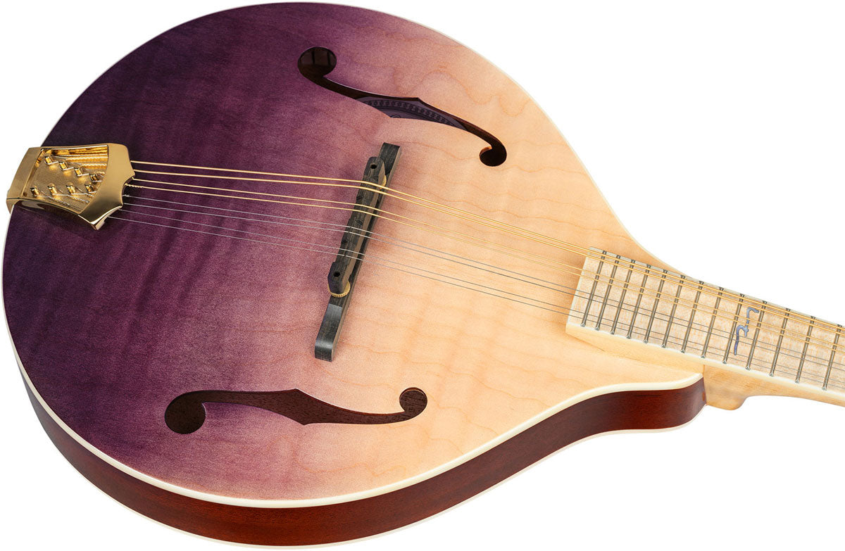 Americana Mandolino A-Style + custodia in pelle Croco