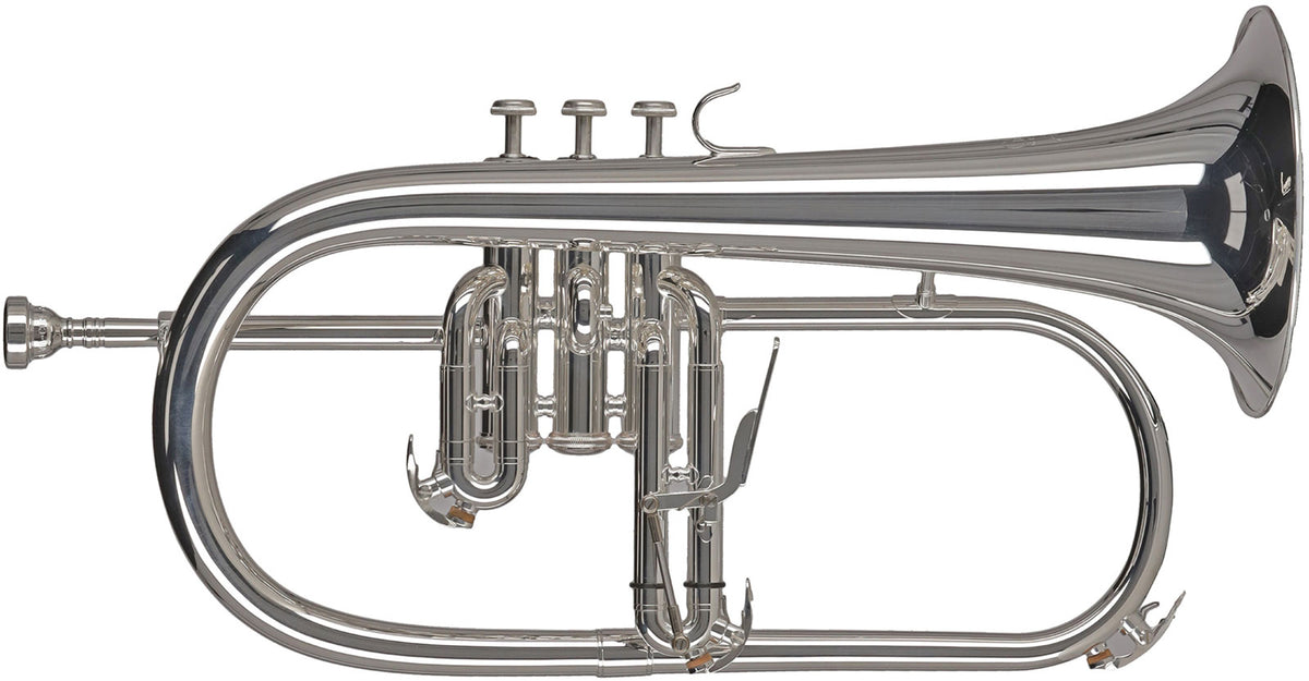 Ambition FH501S Sib Argentato