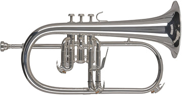 Ambition FH501S Sib Argentato
