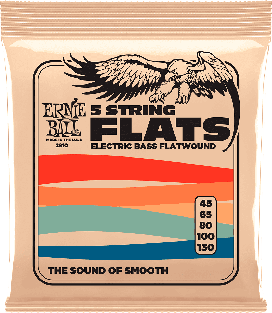 ELECTRIC BASS STRINGS 45-130 2810