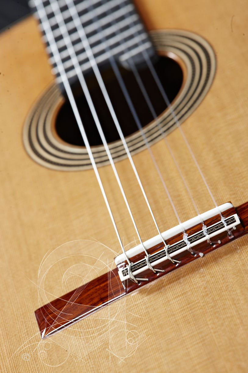 Professional Luthier Linea Profesional + 9650 Bam Iconic Case