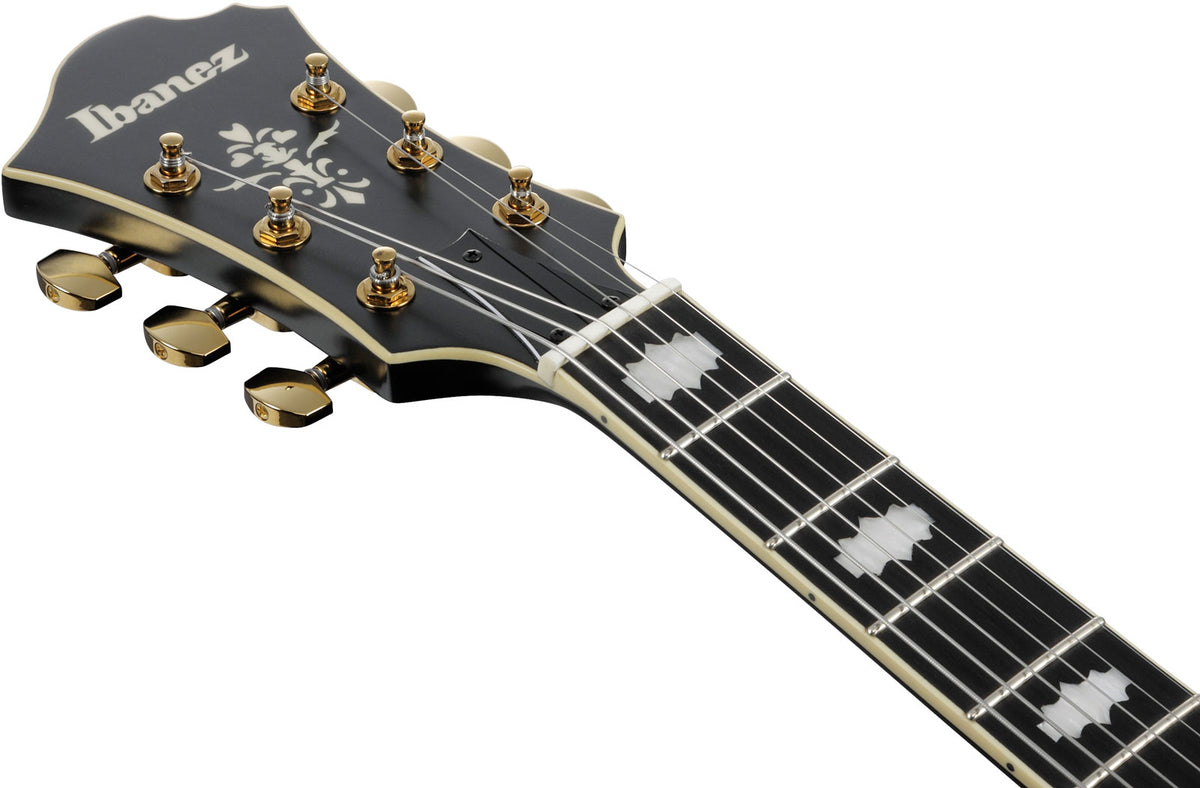 PM3C Signature Pat Metheny Nero Poco Lucido