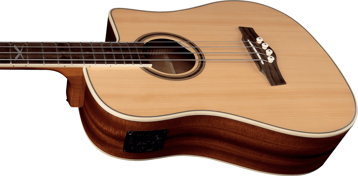 NXT B100ce Dreadnought Naturale