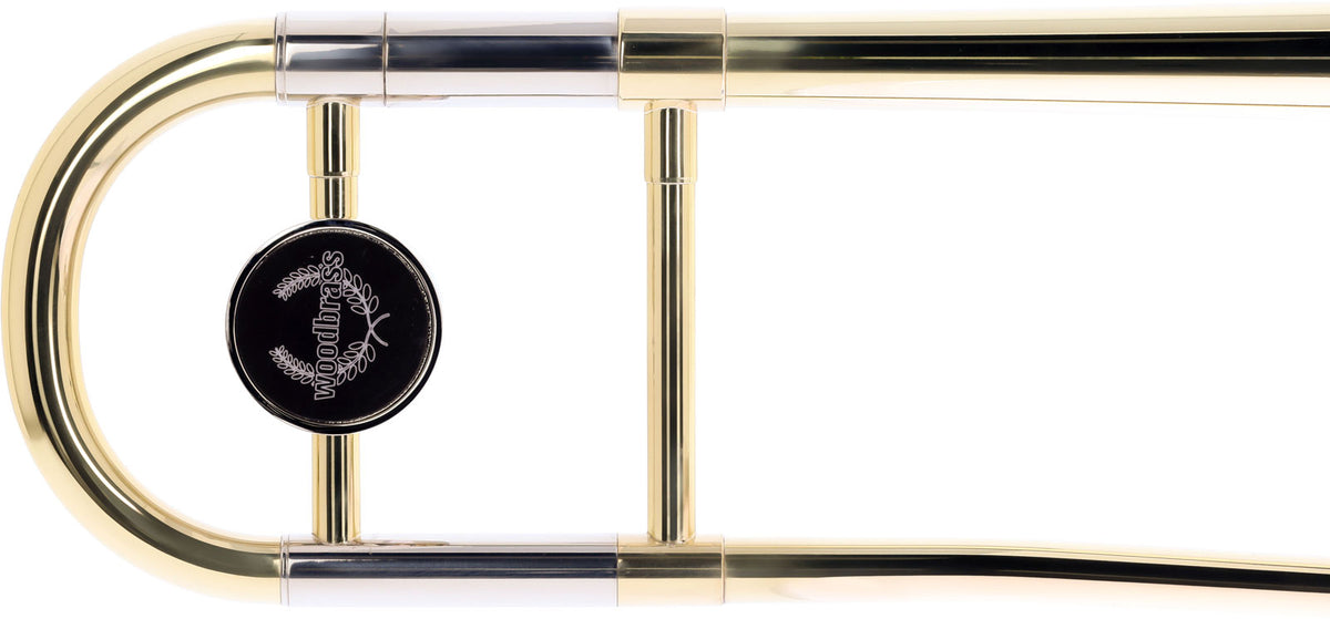 WTB200 - Sib verniciato