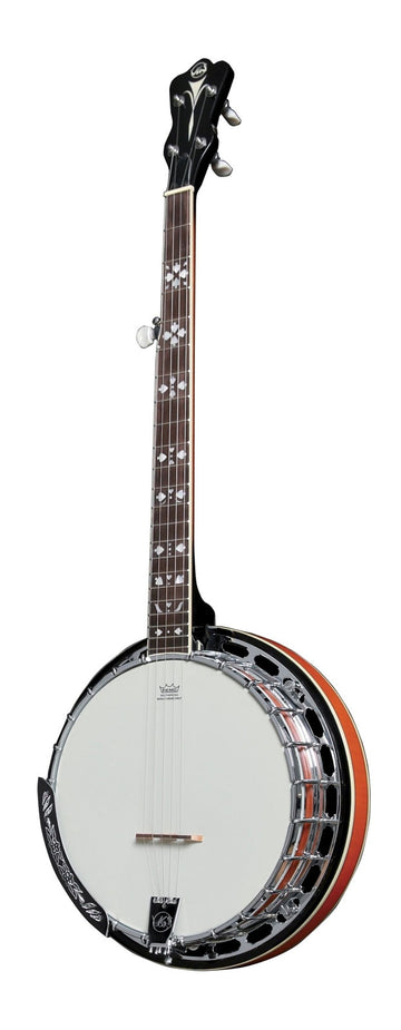 Banjos Premium 5 Corde Con Custodia