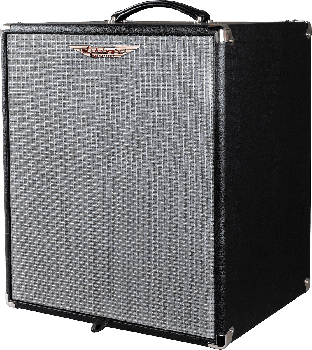 STUDIO 15 - SUPER LIGHTWEIGHT 300W BASS COMBO