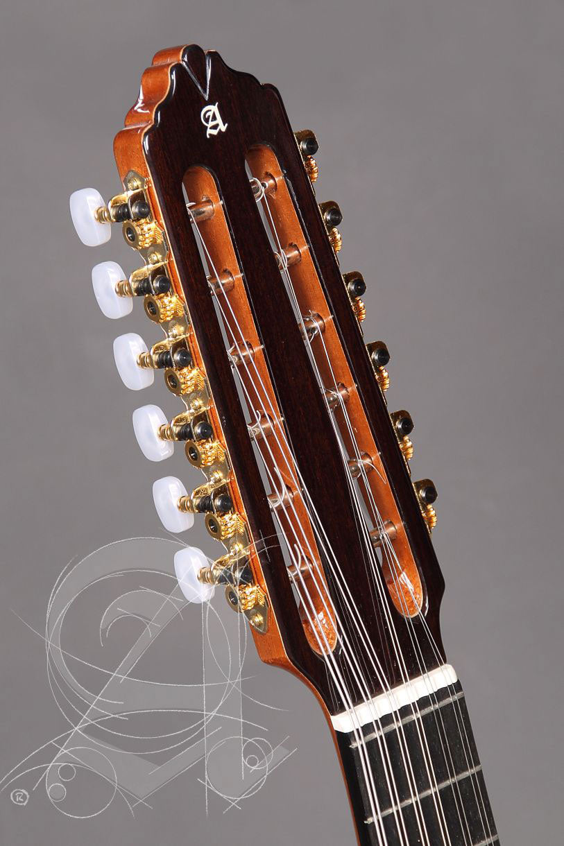 Conservatory L-6Fc Lutes + 9534 Gigbag