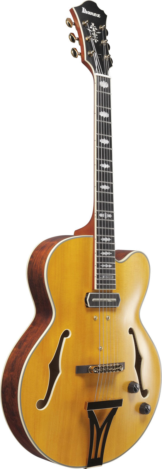 PM3C Signature Pat Metheny Ambra Naturale Poco Lucido