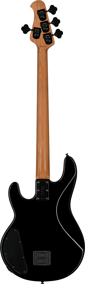Dark Ray Stingray Con Elettronica Darkglass