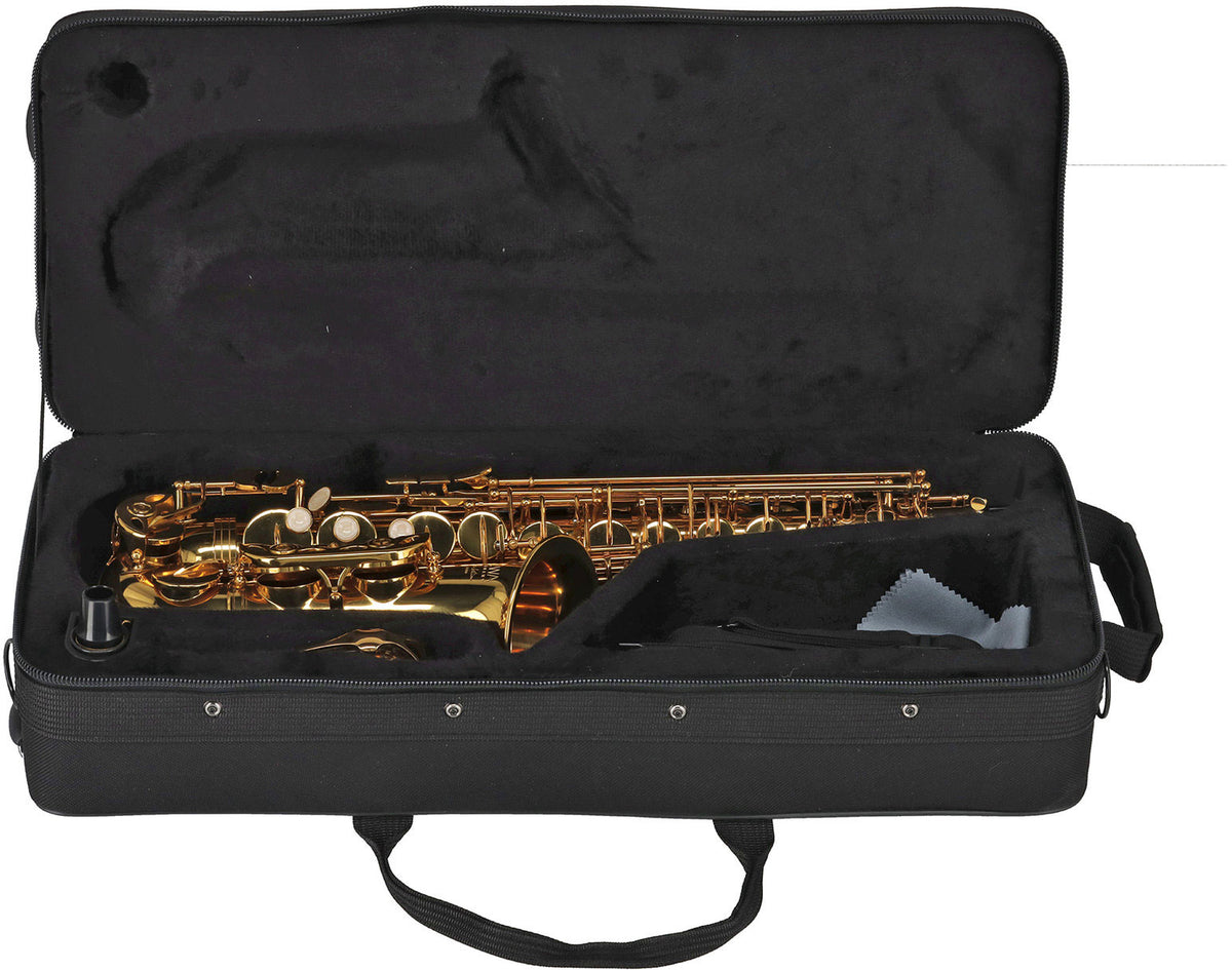 Ambition AS650 E-flat Alto Lacquered