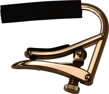 Pink Gold Classica