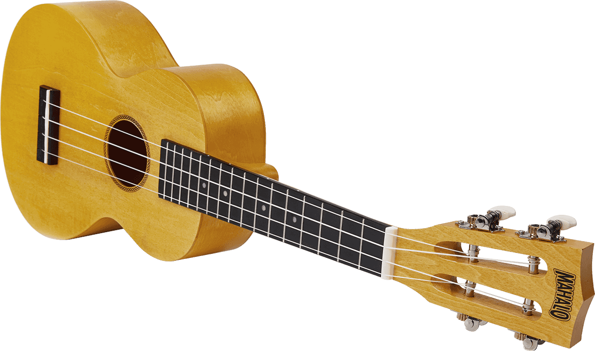 Ukulele Island Concert Sun Flower + Custodia