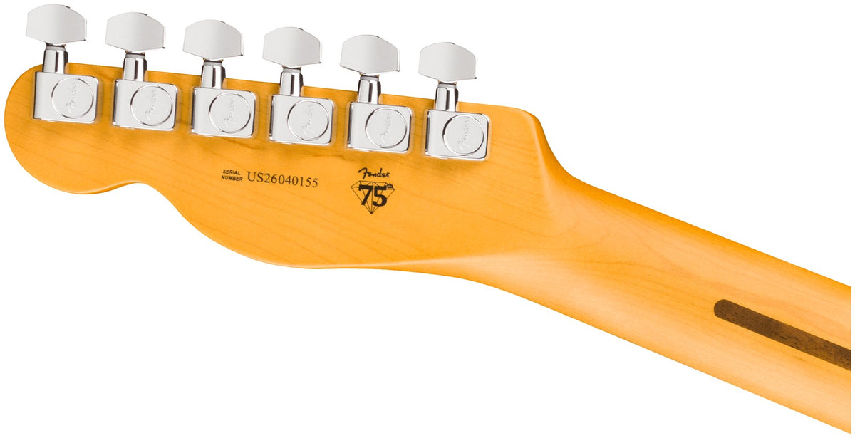 Telecaster American Professional, RW Dark Night