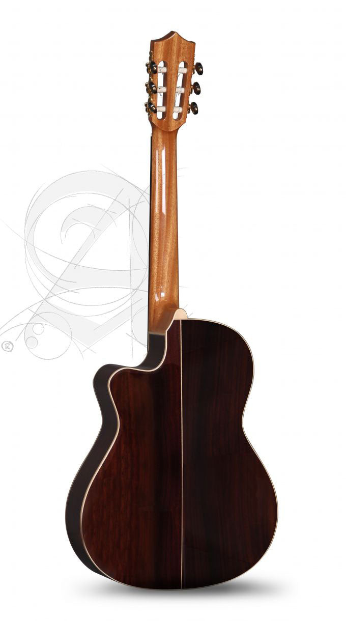 Concert CS-3 CW E8 Crossover + 9738 25MM Custodia - Ricondizionato