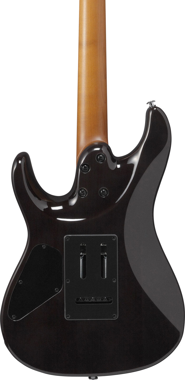 AZ24S1F-TKS Nero trasparente Sunburst Standard