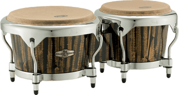 Bongos Havana 7+9 Oro Liquido