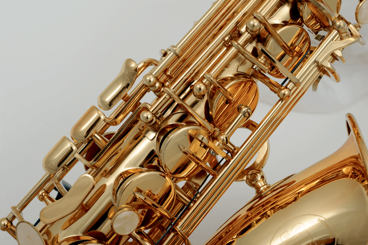 Sax Alto Principiante Verniciato A300