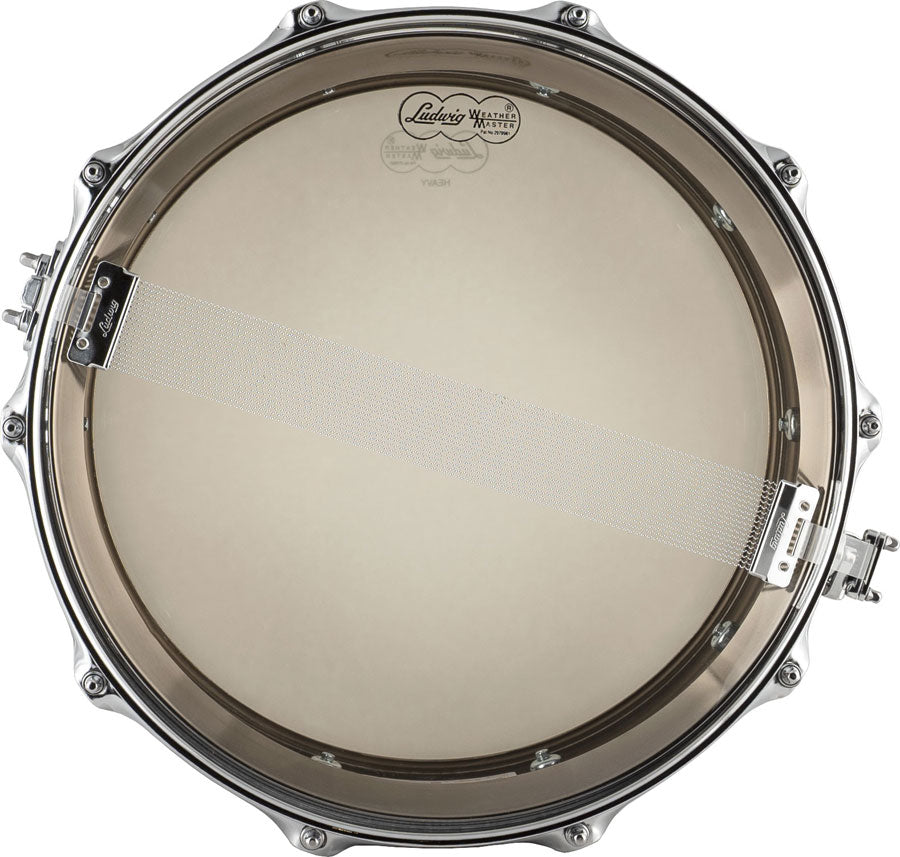 BLACK BEAUTY - 14" x 5" - LB416