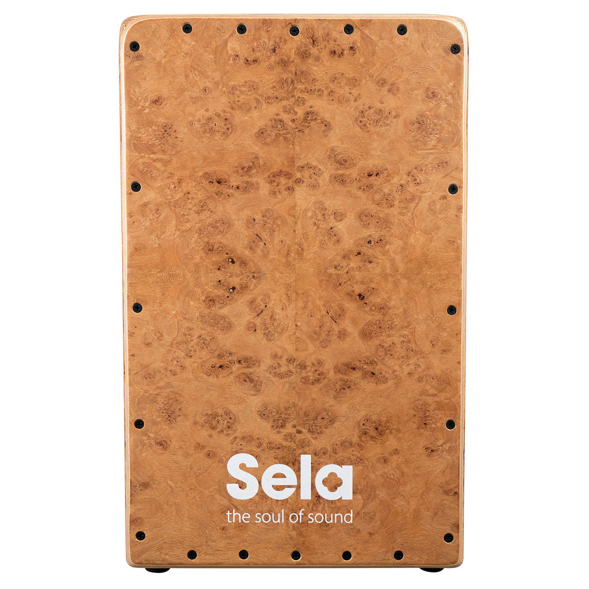 Iconic Cajon - Oak Roots