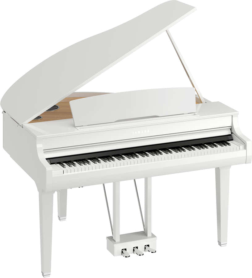 CSP295GP Bianco