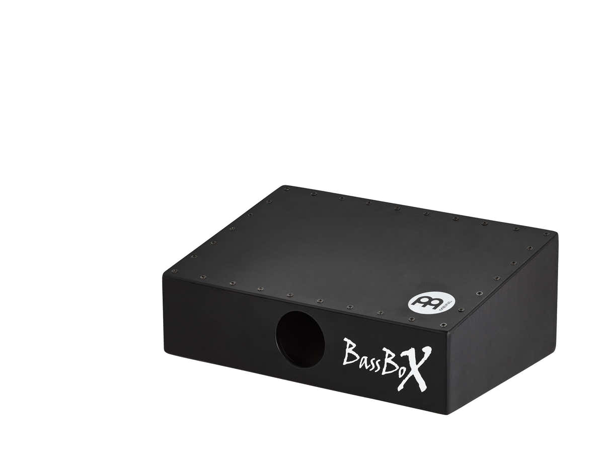 Pbassbox - Bassbox per pickup - Betulla baltica