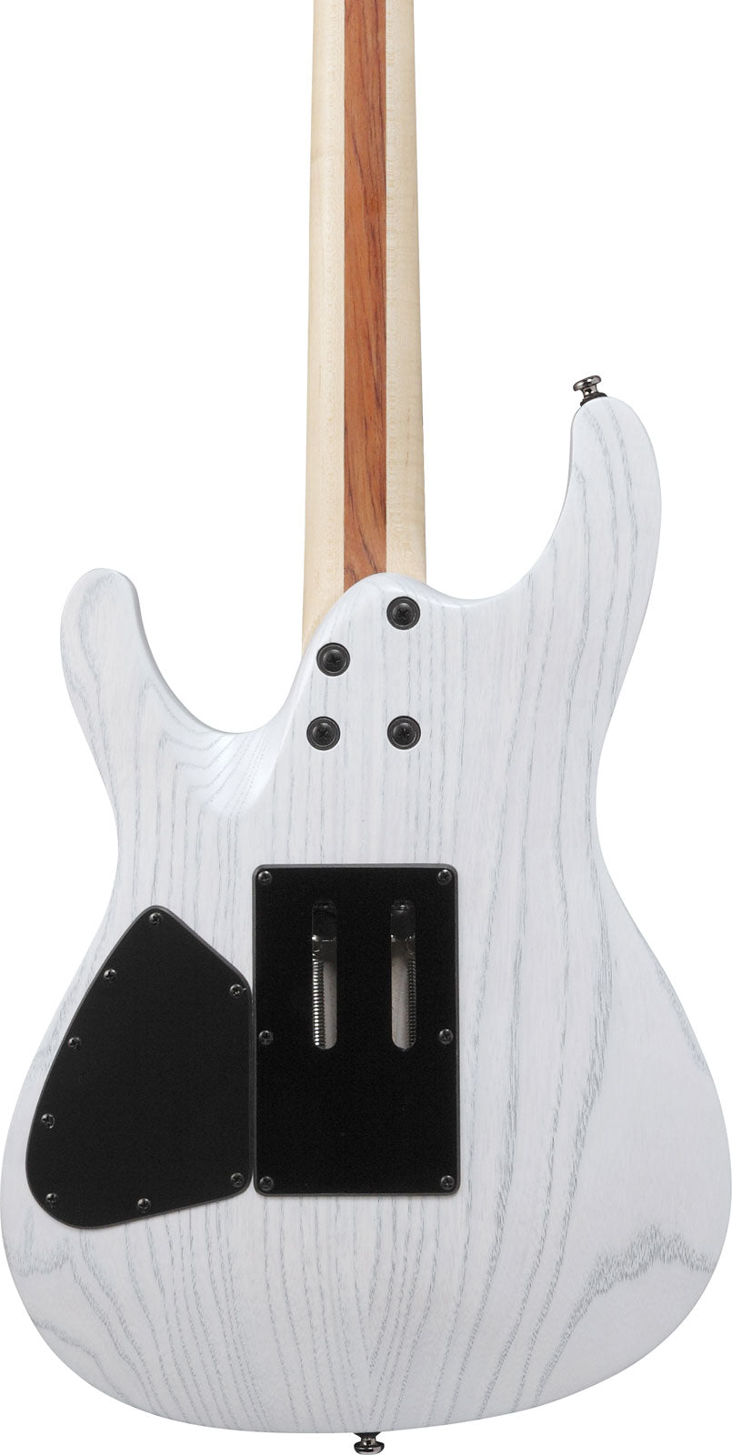PWM20 modello firmato Paul Waggoner