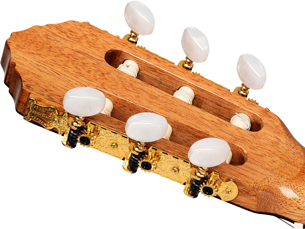 Traditional 4/4 + custodia morbida Pro