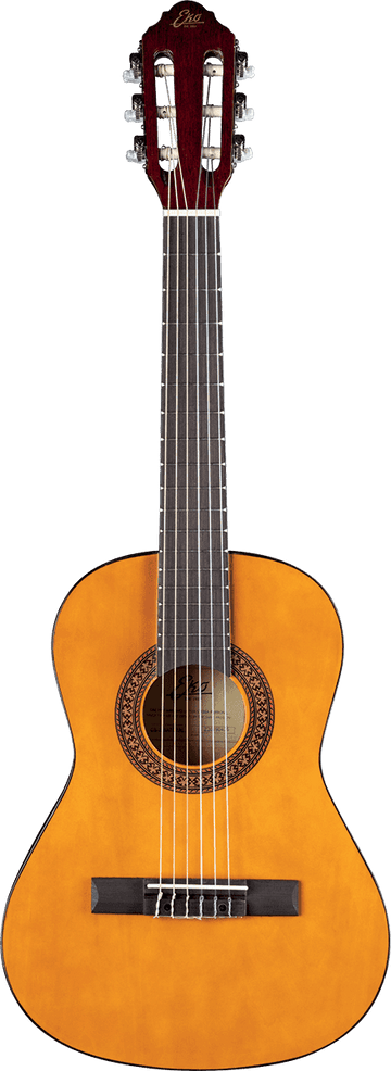 Cs-2 1/2 Natural + Gigbag