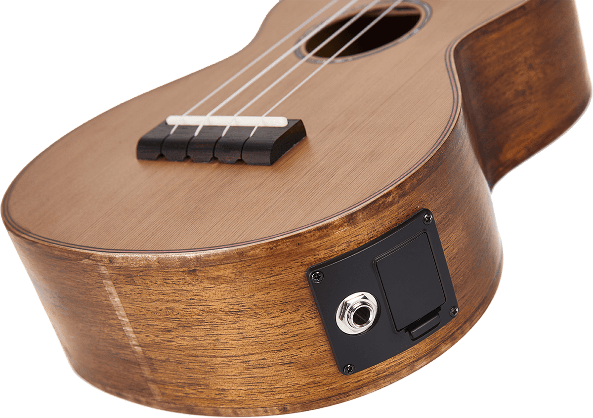 Baritono Naturale Elettrico + Custodia