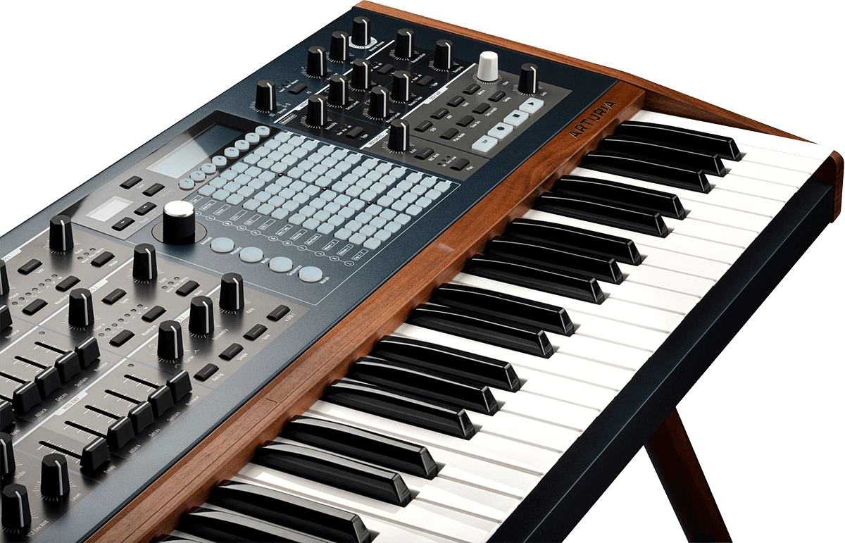 Polybrute