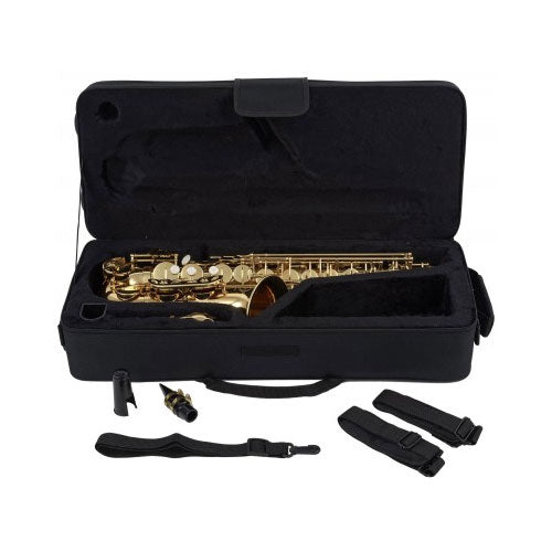WSA100 - Contralto Mib verniciato