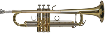 Vision TR372R Sib verniciato