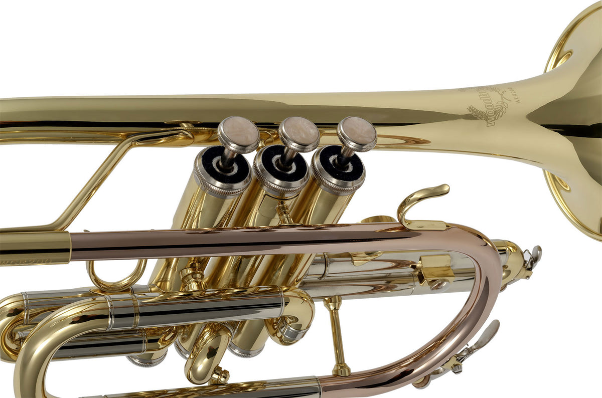 WCR200 - Si B Verniciato