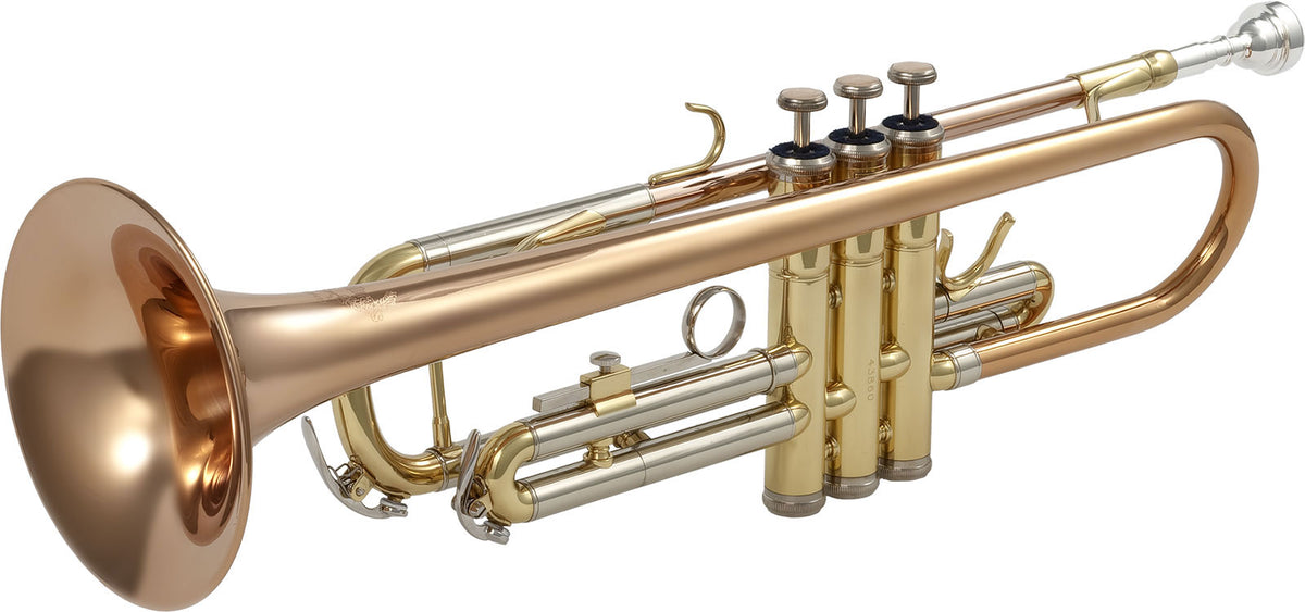 WTP400 - Si B verniciato (bandiera rosa rame)